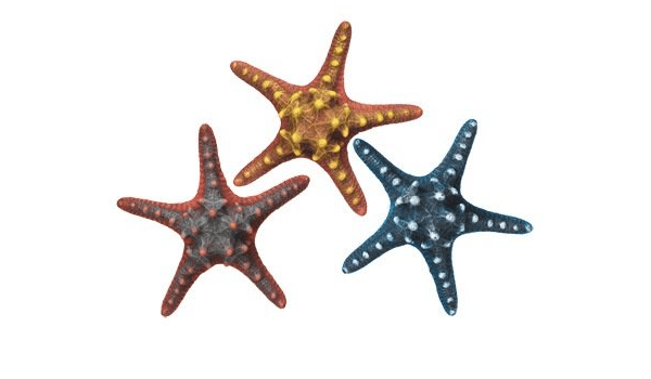 28315 NOBBY Aqua Ornaments "Starfish" l:6,5x w:16,5x h:5,5cm - PetsOffice