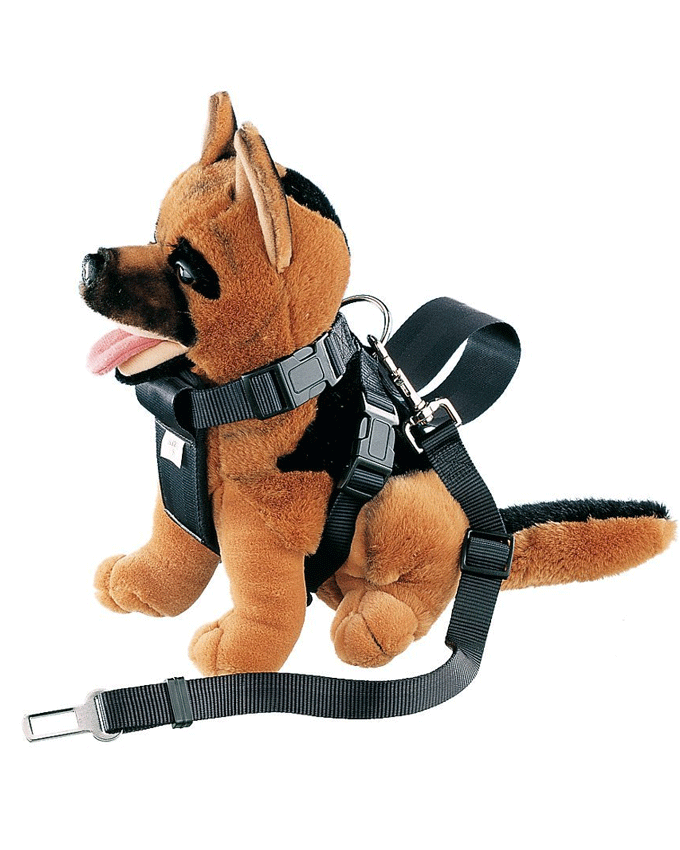 75325 NOBBY Harness incl. Car safety seat belt size L; neck: 68 cm; chest: 85 cm