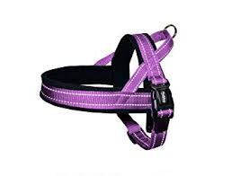 74842-38 NOBBY NORWEGIAN Harness purple L: L: 60-76 cm + 46 cm; W: 25 mm