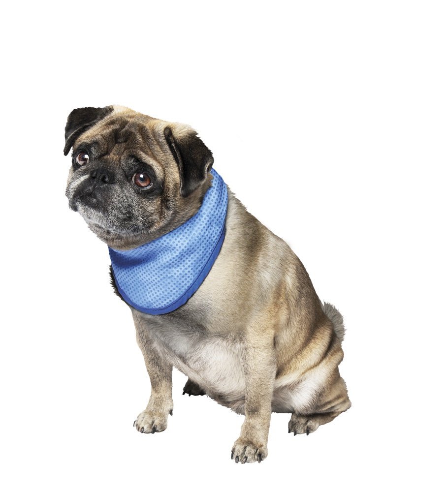 62224 NOBBY Pet Ice Bandana S: 18 - 30 cm - PetsOffice