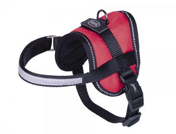 80579-01 NOBBY Harness "Seguro" Mini red waist: 31-40 cm; W: 15 mm