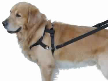 79270-05 NOBBY Top Walk -  - PetsOffice