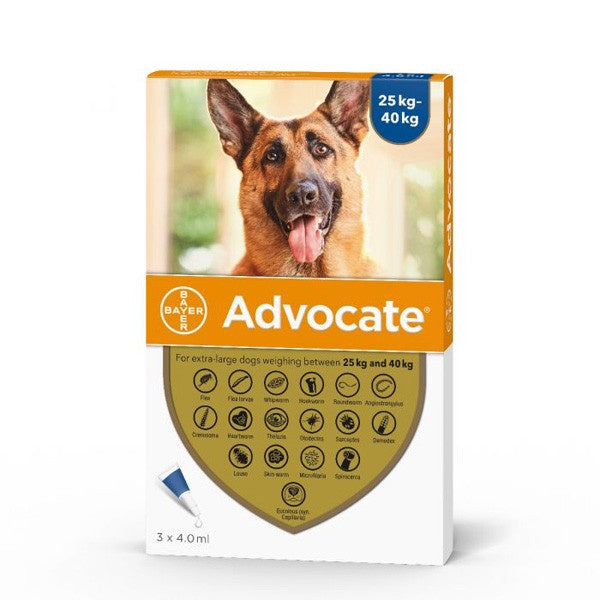 Advocate Spot On Solution For XL Dog (25-40kg) 1 Dose