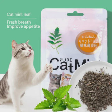 Pure Cat Mint Powder(Catnip) 5g