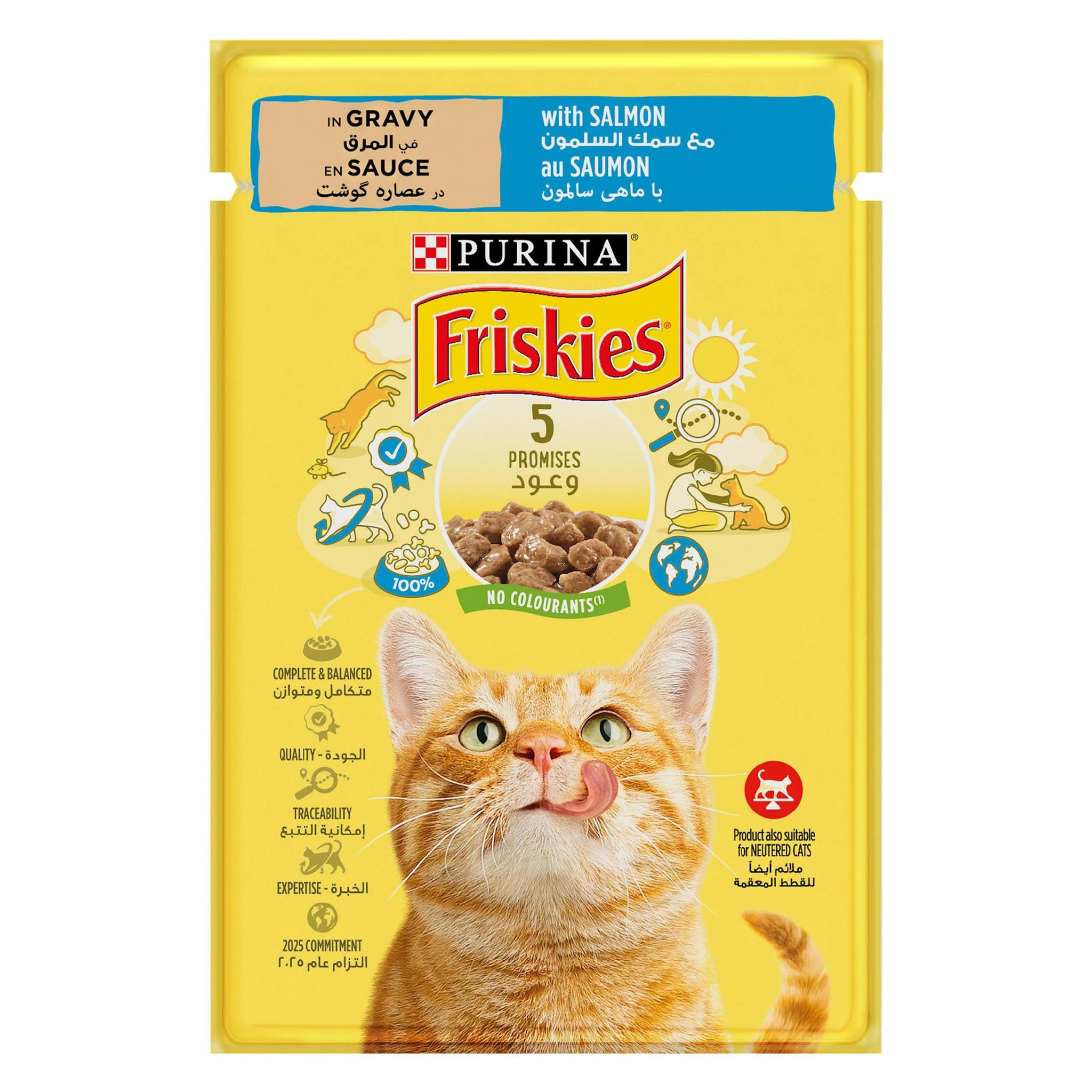 Purina Friskies Salmon Chunks Gravy Cat Wet Food Pouch 85g