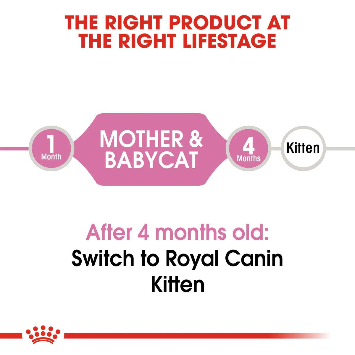 Royal Canin Babycat 2kg -  - PetsOffice