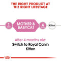 Royal Canin Babycat 400g -  - PetsOffice