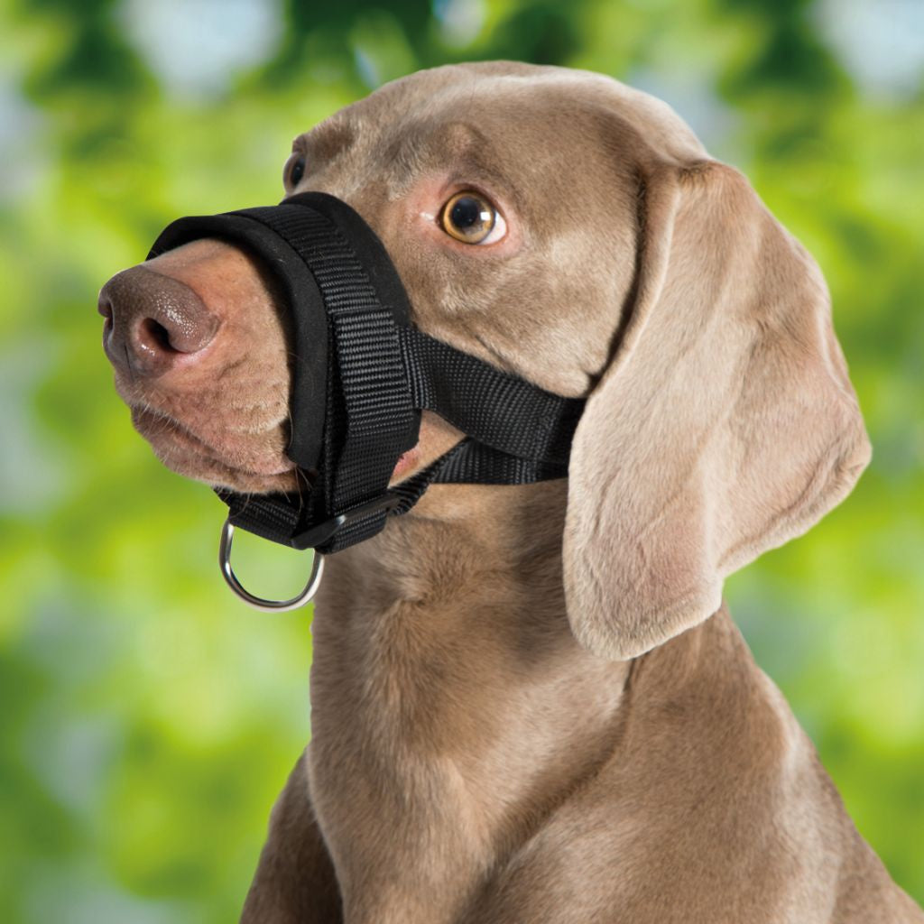 79292 NOBBY Nylon Muzzle Loop black Size L; Neck Strap: 16-28 cm; Snout Strap: 18-30 cm